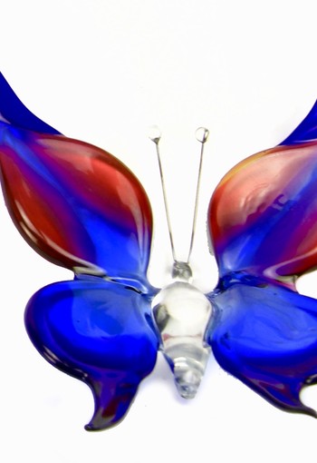 Accessoires B01S vlinder klein blauw-rood