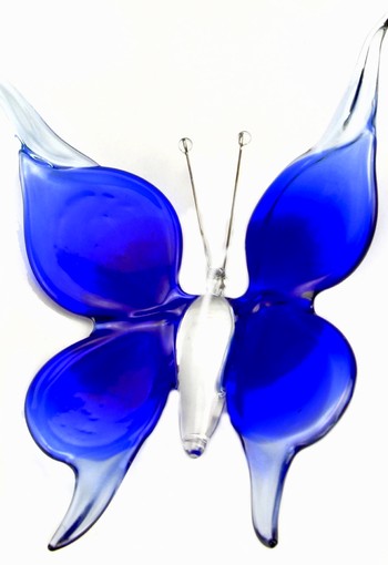 Accessoires B01B vlinder groot blauw.